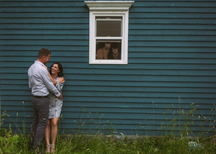 Cats photobomb an engagement session in St. John's Newfoundland and Labrador